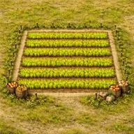 Food oasis